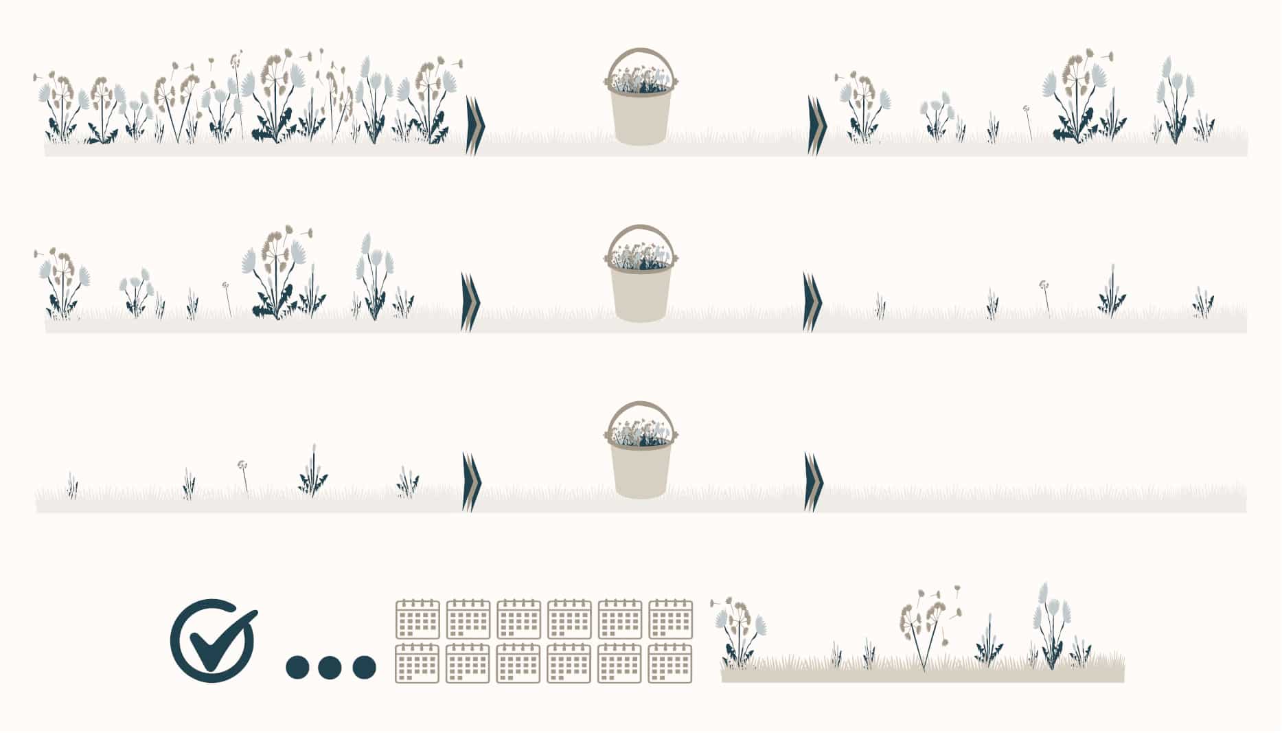 vbeam is like weeding a garden