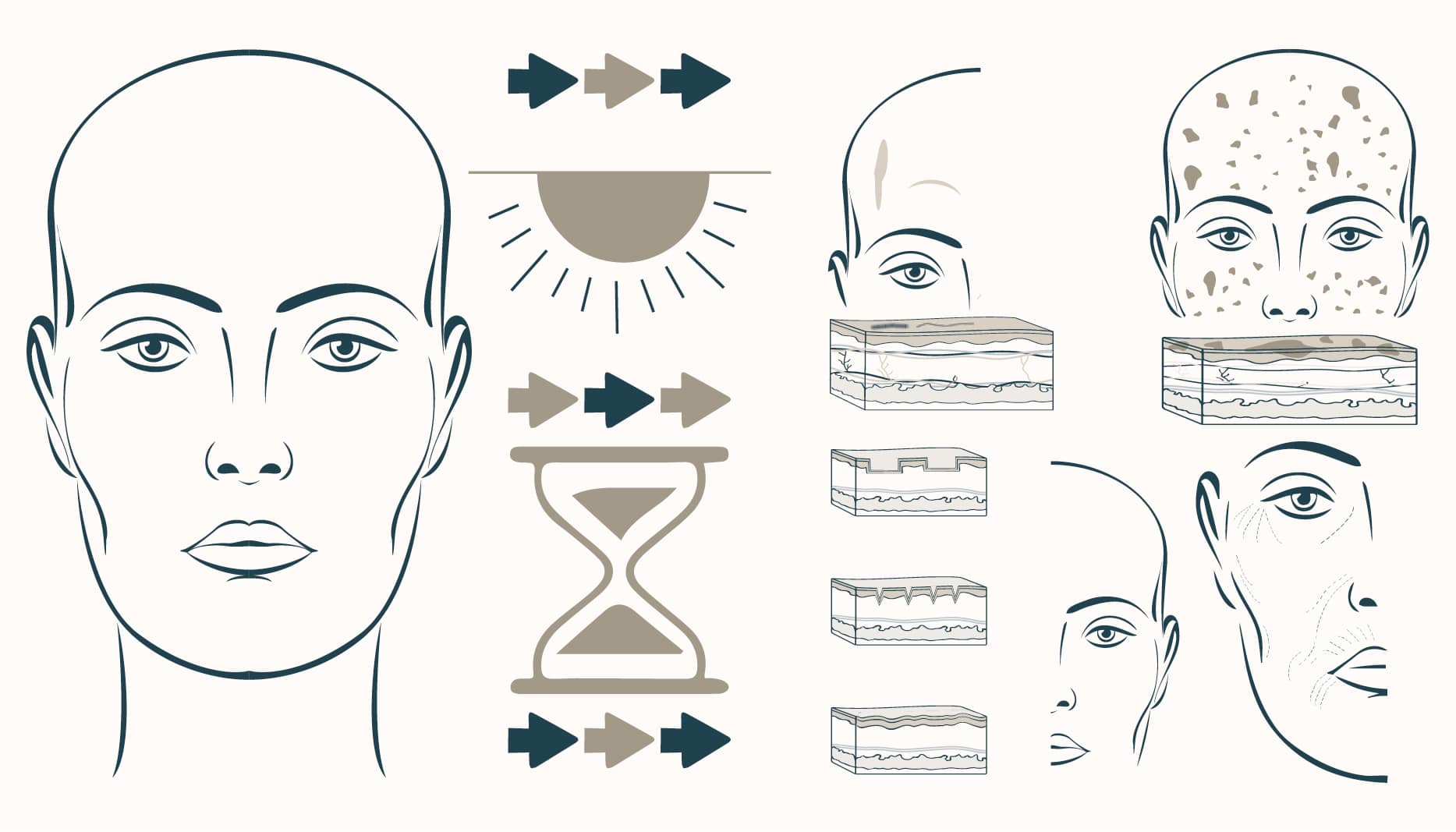the skin ages with time and sun