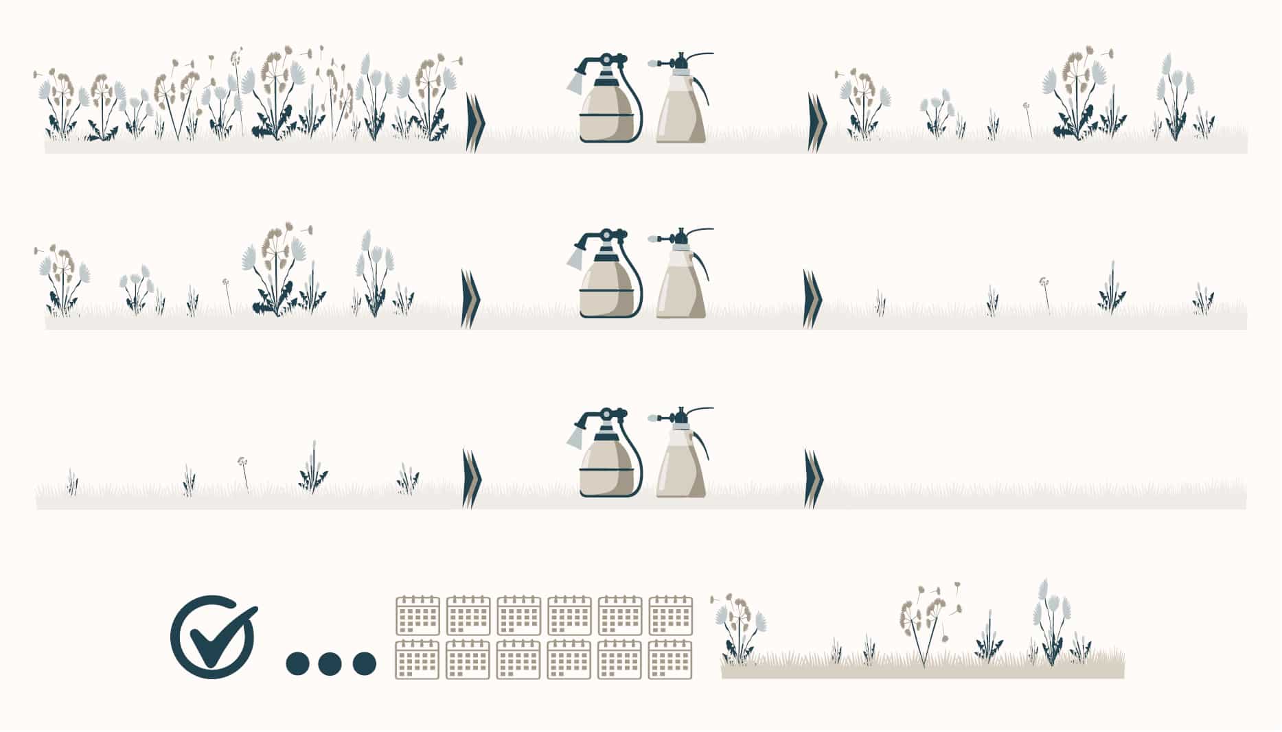 Sclerotherapy is like weed lawn treatment