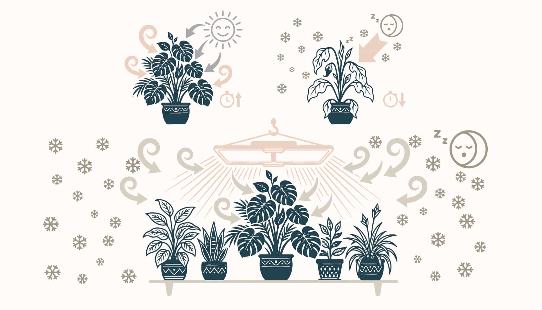 GLP-1 therapy is like house plants