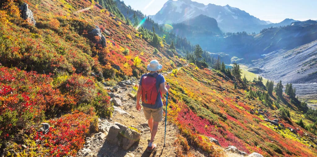 Hiker walking along a high-altitude mountain trail in bright sunlight, surrounded by colorful alpine vegetation.